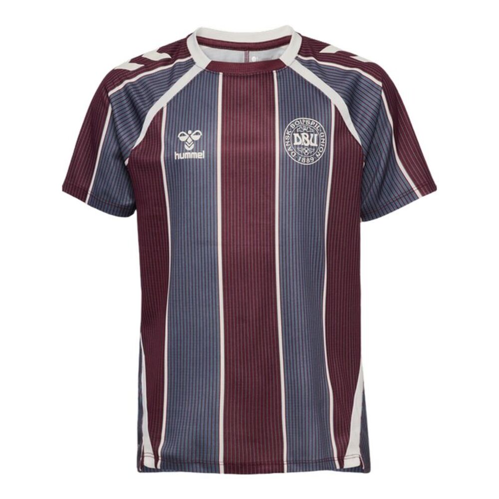 Hummel Childrens/Kids Pre-Match Denmark T-Shirt / Multicolored
